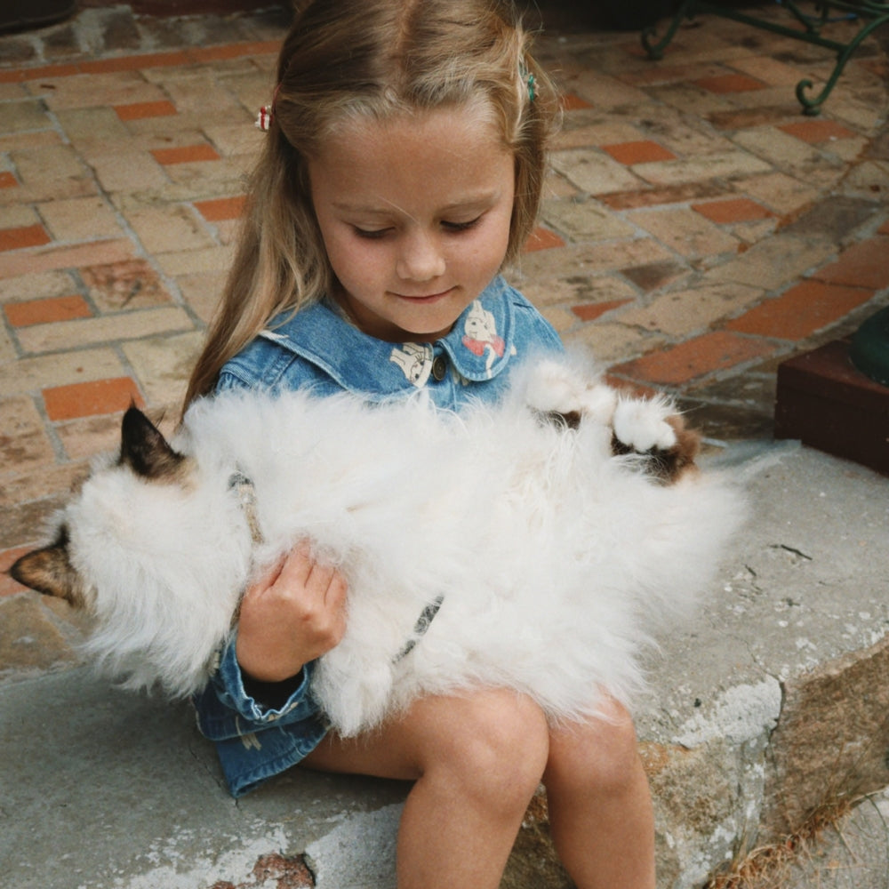 Konges Slojd Kurtka dżinsowa dla dziewczynki z kołnierzykiem Magot Bow Kitty