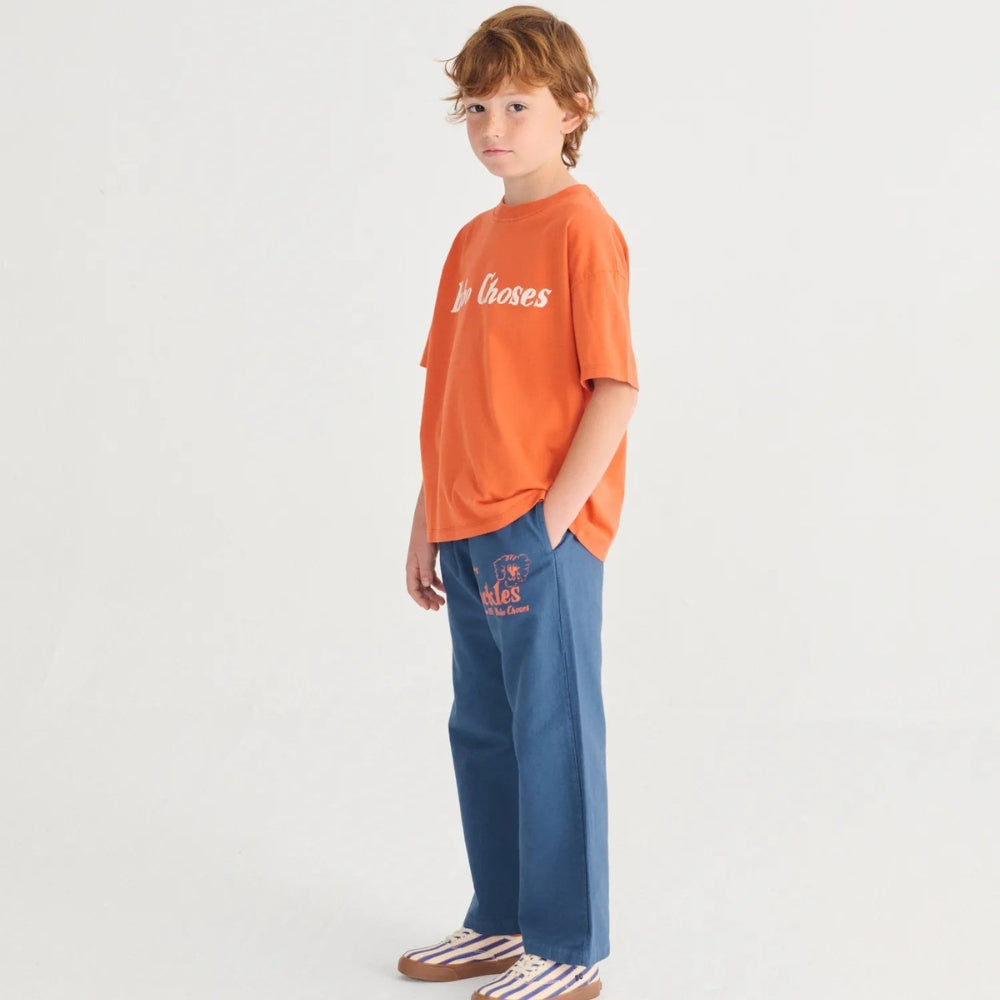 Slajd obrazu
