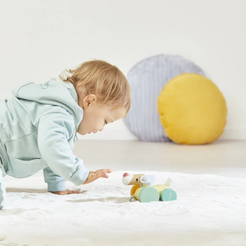 Janod Zabawka do ciągnięcia drewniany piesek Zigolos