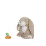 Slajd obrazu