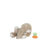 Slajd obrazu