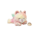 Slajd obrazu