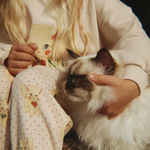 Konges Slojd Spodnie dziewczęce Belli Sweat Pants Ocs Miao Amore