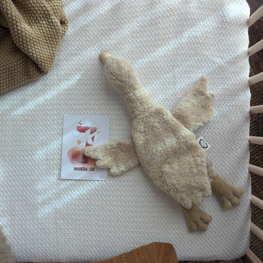 Senger Naturwelt Przytulanka termofor dla niemowlaka Cuddly Animal Goose small linen