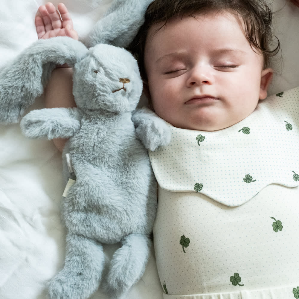 That’s Mine Śliniaki niemowlęce Ezra Specks of Luck 2-pak