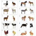 TickiT Puzzle dla dzieci Rodziny zwierząt domowych