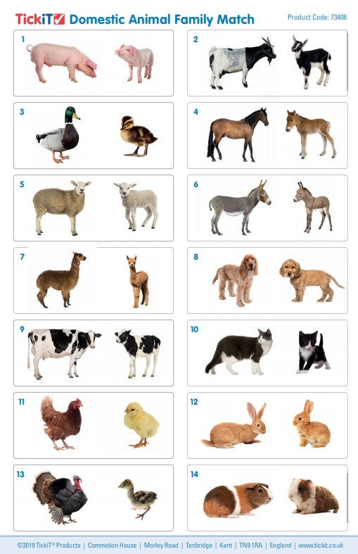 TickiT Puzzle dla dzieci Rodziny zwierząt domowych