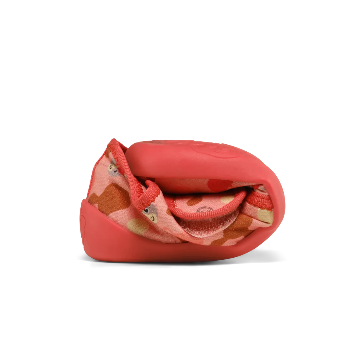 Slajd obrazu