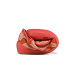 Slajd obrazu