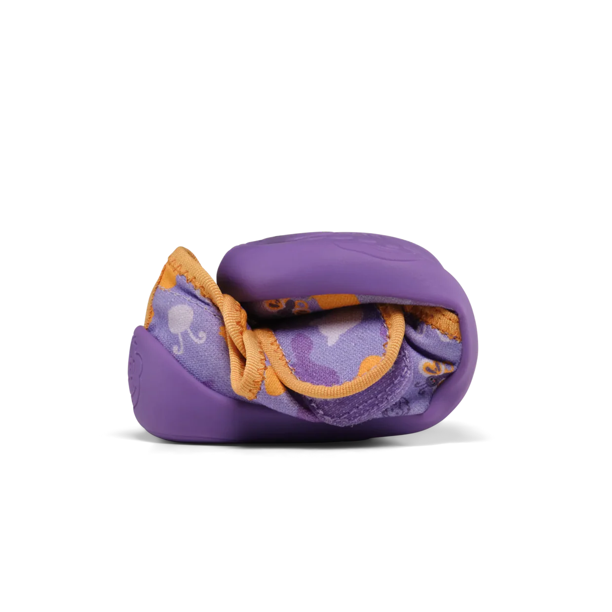 Slajd obrazu