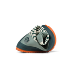 Slajd obrazu