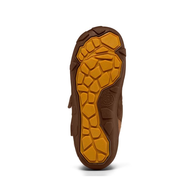 Slajd obrazu