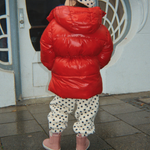 Slajd obrazu