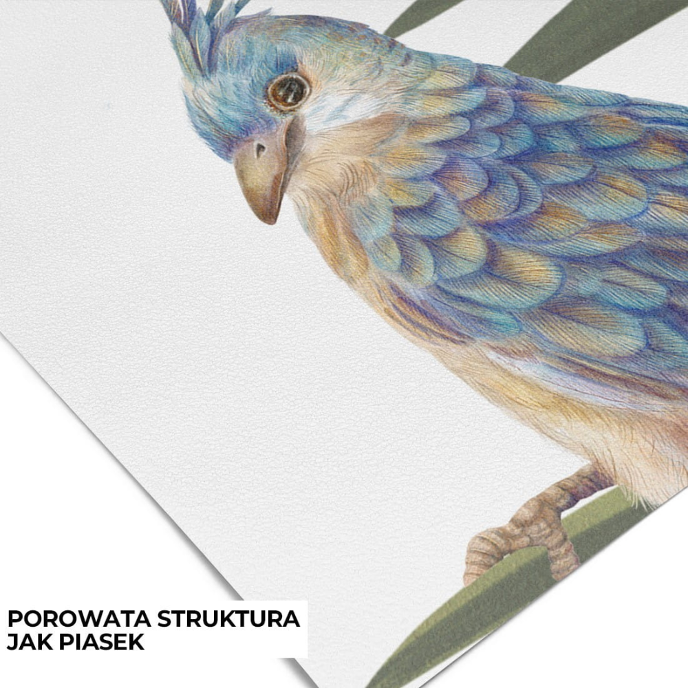 PASTELOVELOVE Tapeta na ścianę dla dzieci na wymiar Cheeky monkeys