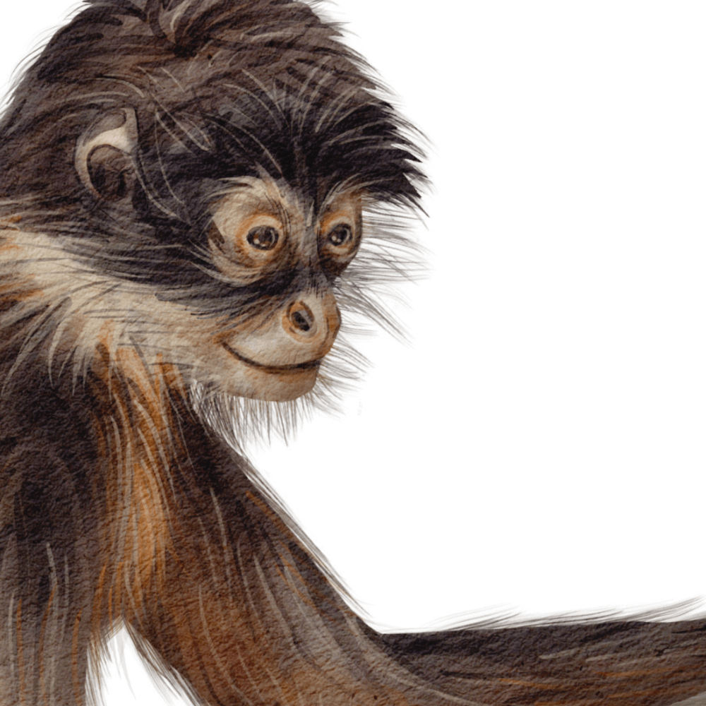 PASTELOVELOVE Tapeta na ścianę dla dzieci na wymiar Cheeky monkeys