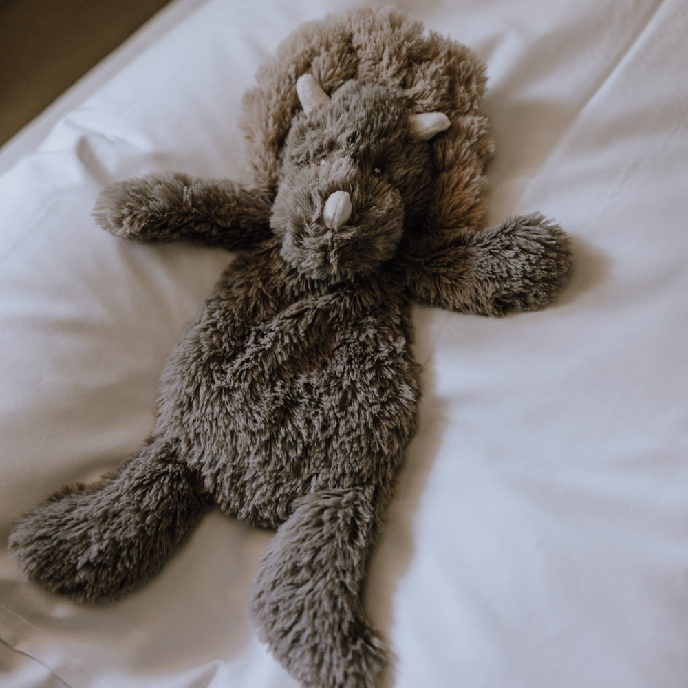 That’s mine Maskotka obciążeniowa dinozaur Teddy Dino