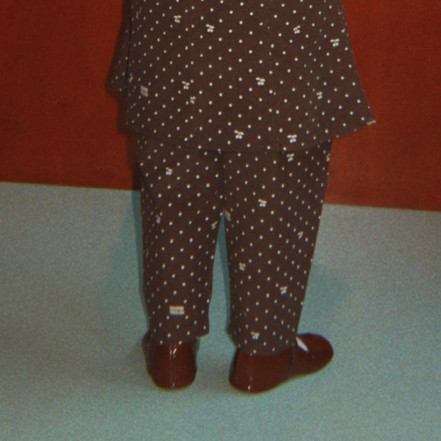 Slajd obrazu