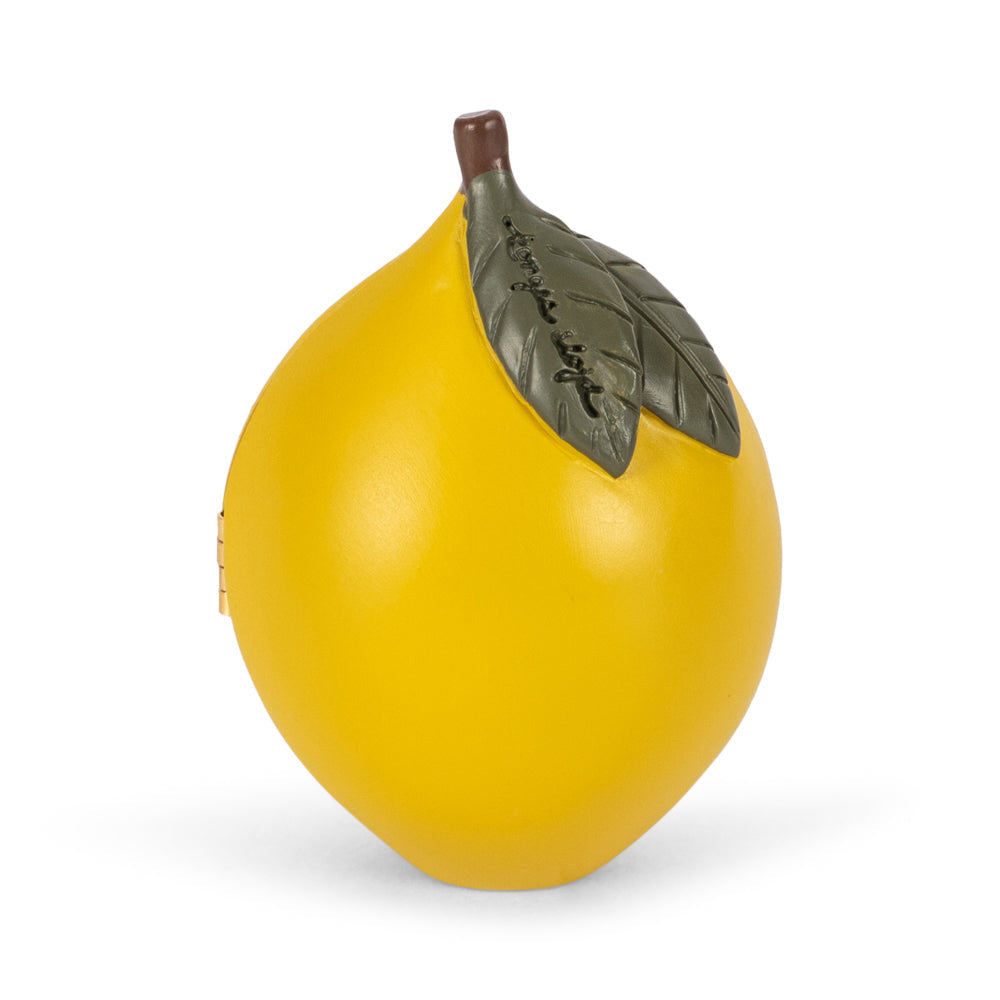 Slajd obrazu