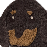 Slajd obrazu