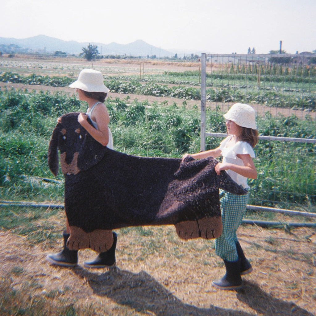 Slajd obrazu