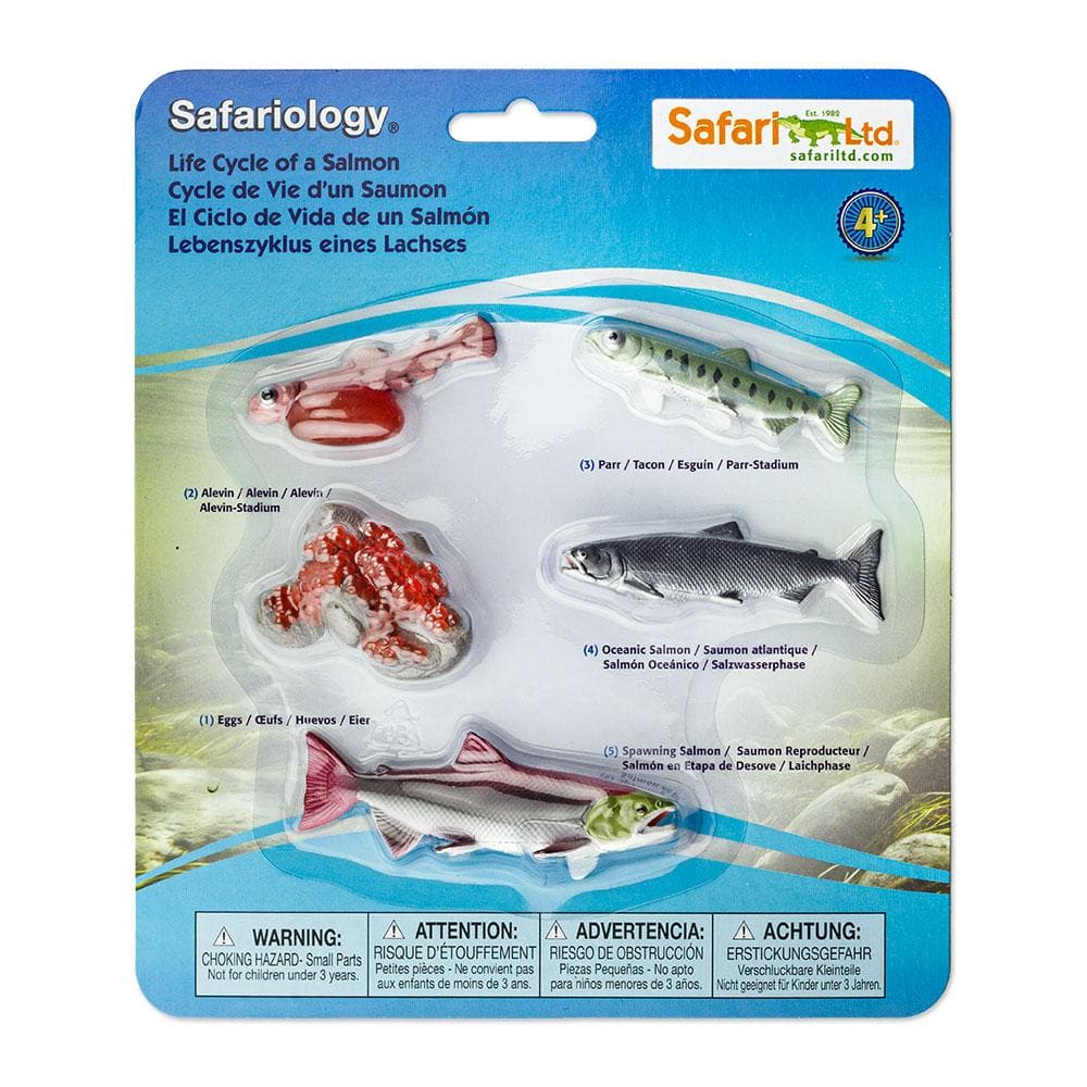 Safari Ltd Edukacyjny zestaw Cykl życia łososia