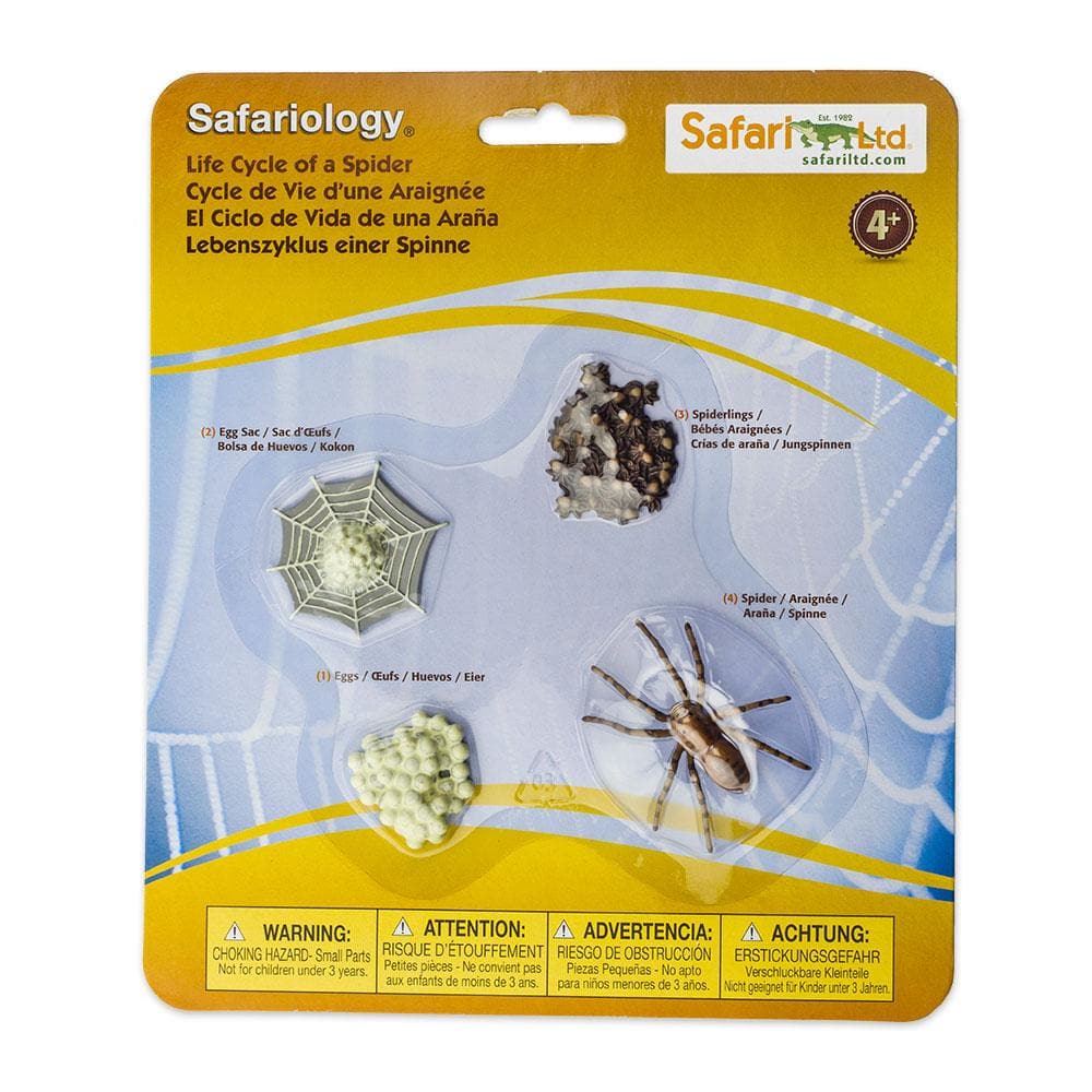 Safari Ltd Edukacyjny zestaw Cykl życia Pająk