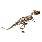 Auzou Zestaw zrób swojego Dinozaura - 4kidspoint.pl