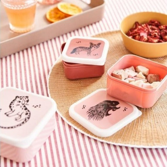 Petit Monkey Zestaw śniadaniówek Dzikie zwierzęta desert rose