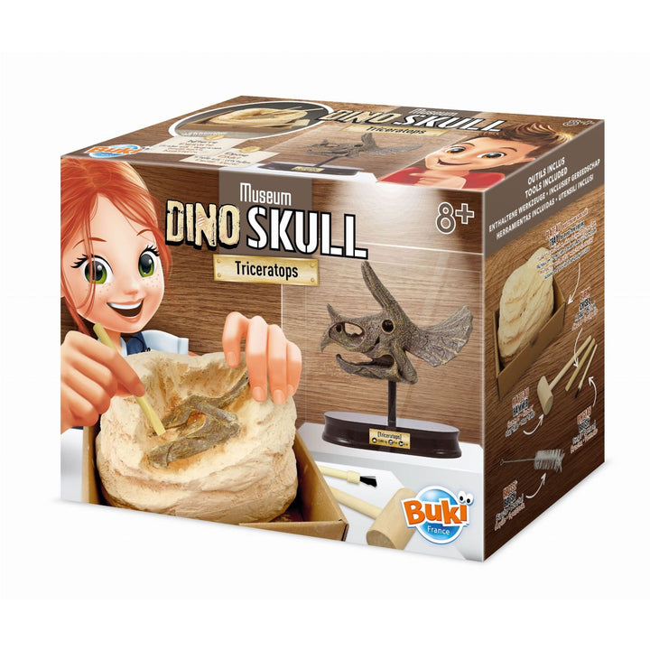 Buki Muzeum czaszek dinozaura Wykopaliska dla dzieci Triceratops