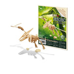 Buki Drewniany model Szkielet dinozaura Pterodaktyl
