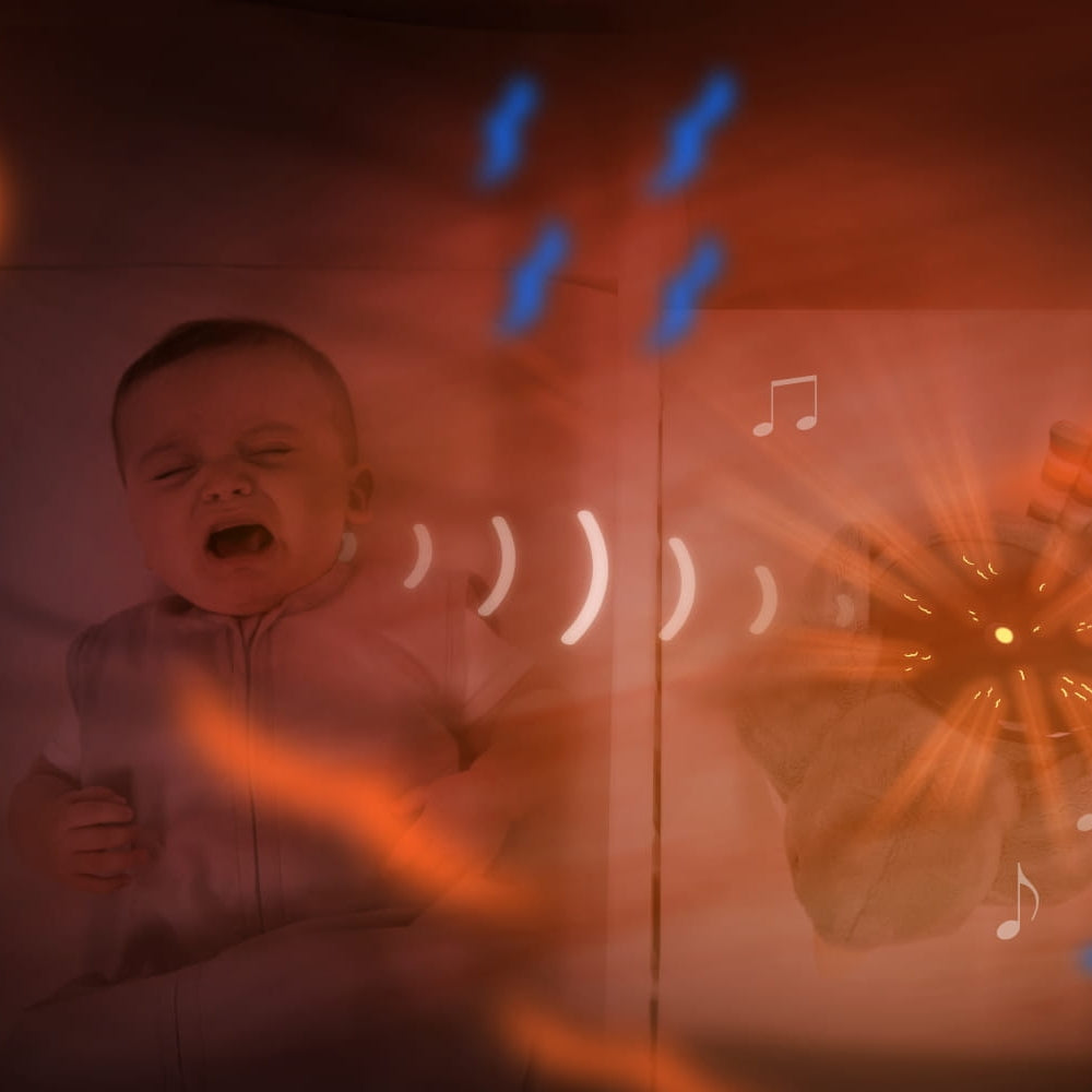 Zazu Projektor dla dzieci Pozytywka Ptaszek Shally