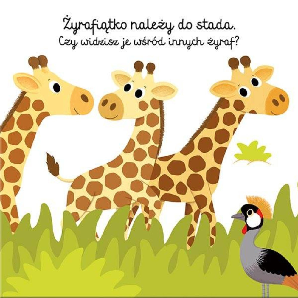 Harperkids Smacznego, Żyrafiątko! książka dla dziecka