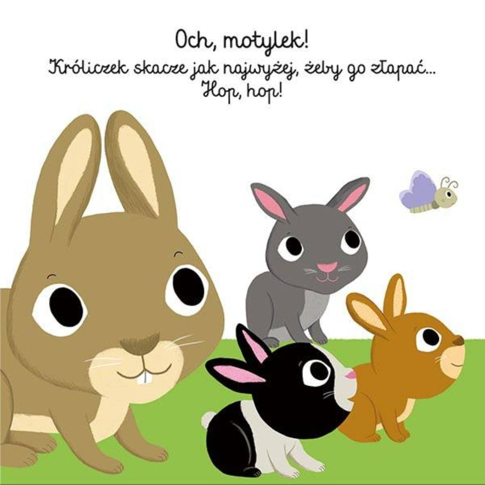 Harperkids Dzień dobry, króliczku! książka dla dziecka