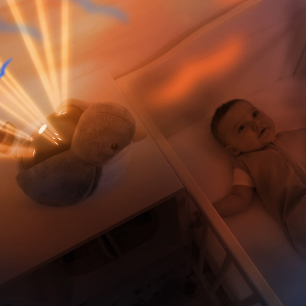 Zazu Projektor dla dzieci Pozytywka Ptaszek Shally