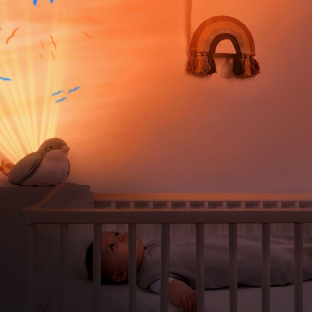 Zazu Projektor dla dzieci Pozytywka Ptaszek Shally