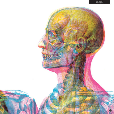 Wydawnictwo Dwie Siostry Gabinet anatomii książka dla dzieci