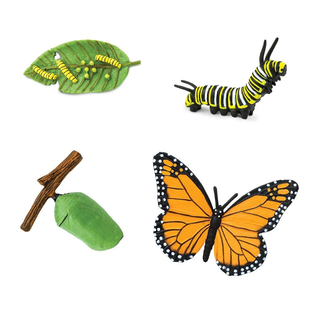 Safari Ltd Zestaw figurek Montessori Cykl życia motyla