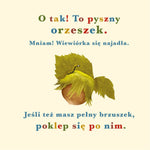 Nasza Księgarnia Rok w lesie Wiewiórka