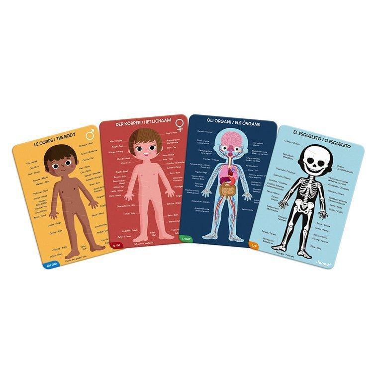 Janod Puzzle dla dziecka edukacyjne Ciało człowieka 50, 75 i 100 elementów