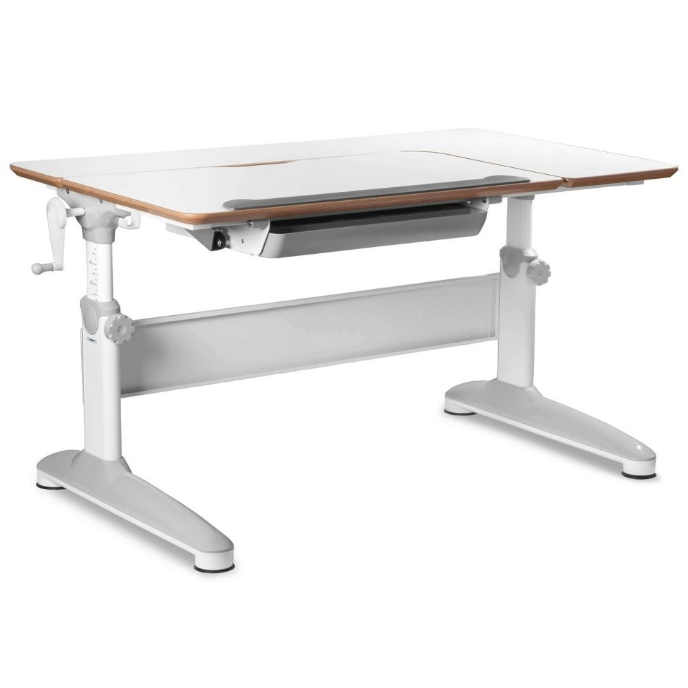 Mayer Ergonomiczne biurko regulowane Expert