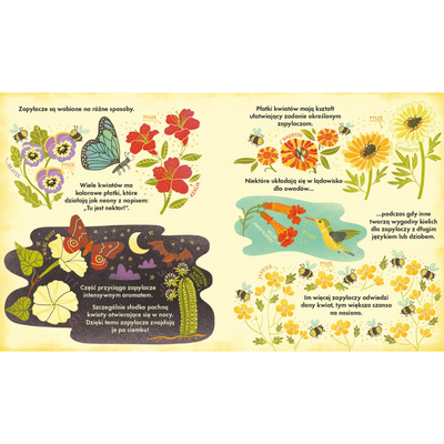 Nasza Księgarnia Książka dla dzieci Co się kryje w kwiatku Fascynujące ciekawostki przyrodnicze