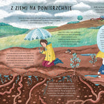 Nasza Księgarnia Książka dla dzieci W deszczu czyli co się dzieje kiedy pada
