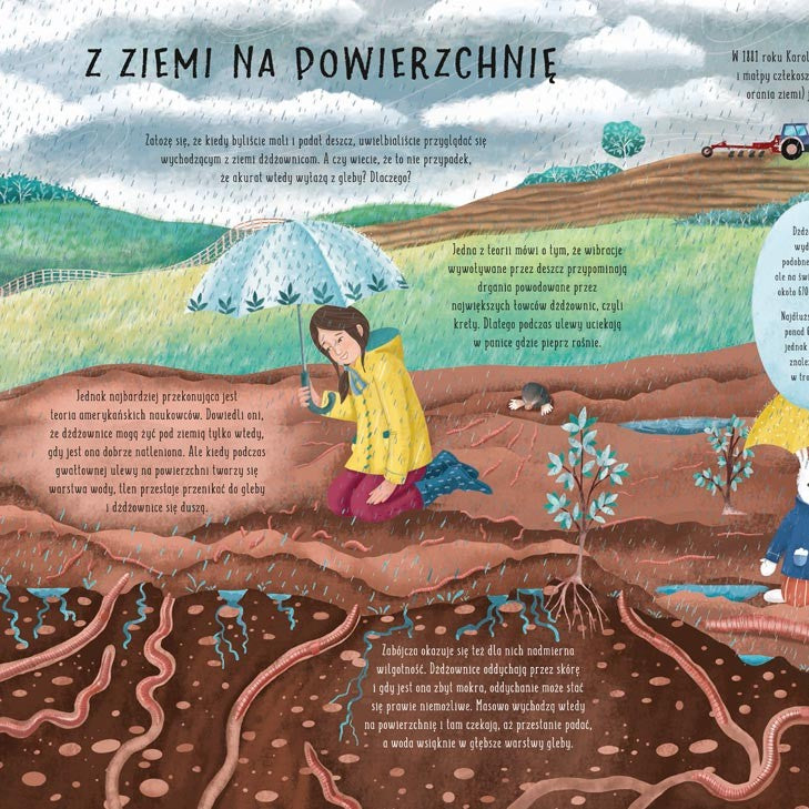 Nasza Księgarnia Książka dla dzieci W deszczu czyli co się dzieje kiedy pada