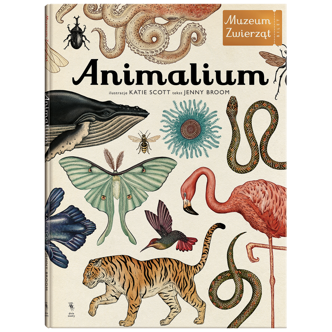 Wydawnictw Dwie Siostry Atlas zwierząt Animalium Muzeum Zwierząt
