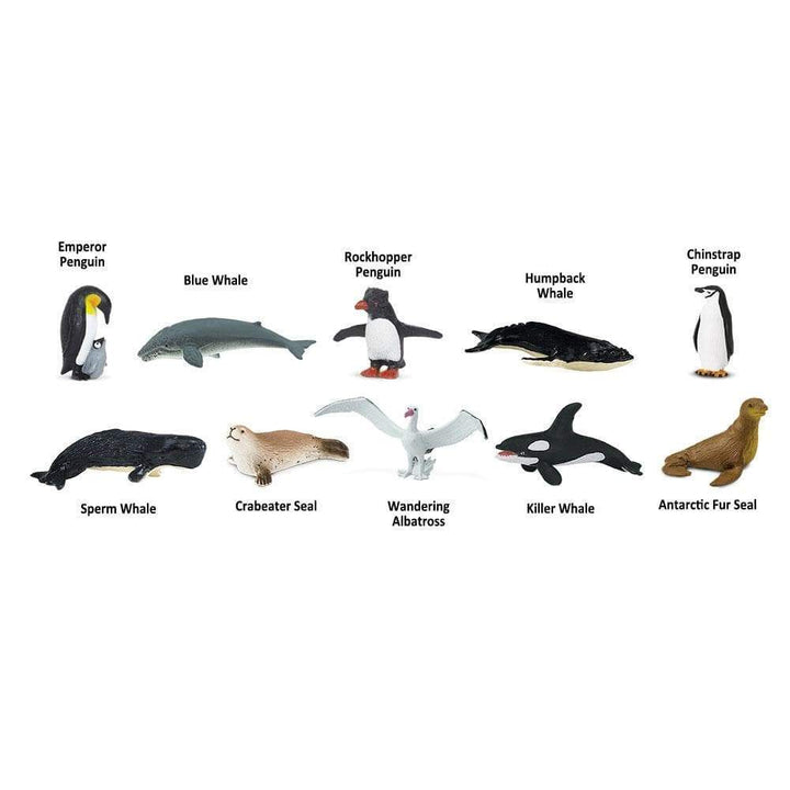 Safari Ltd Montessori Figurki zwierząt Antarktyki tuba