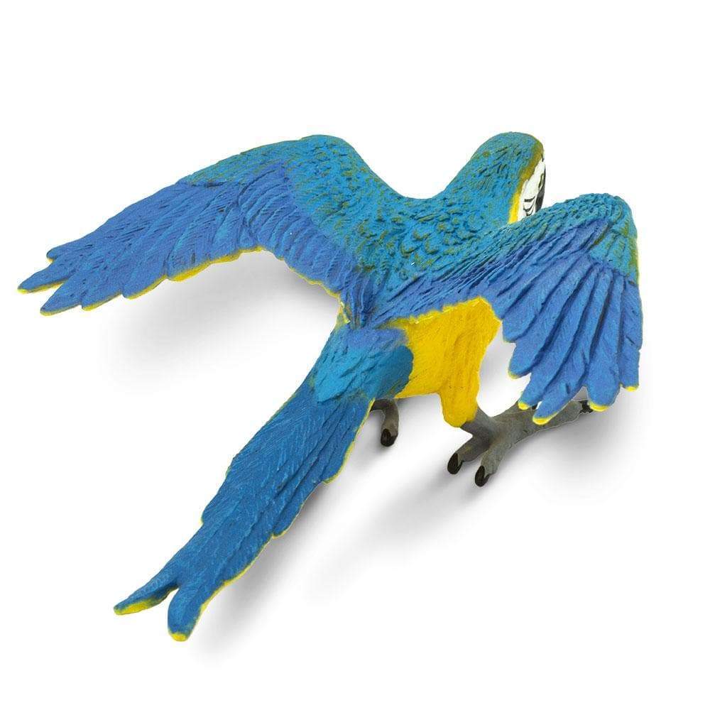 Safari Ltd Figurka Papuga ara