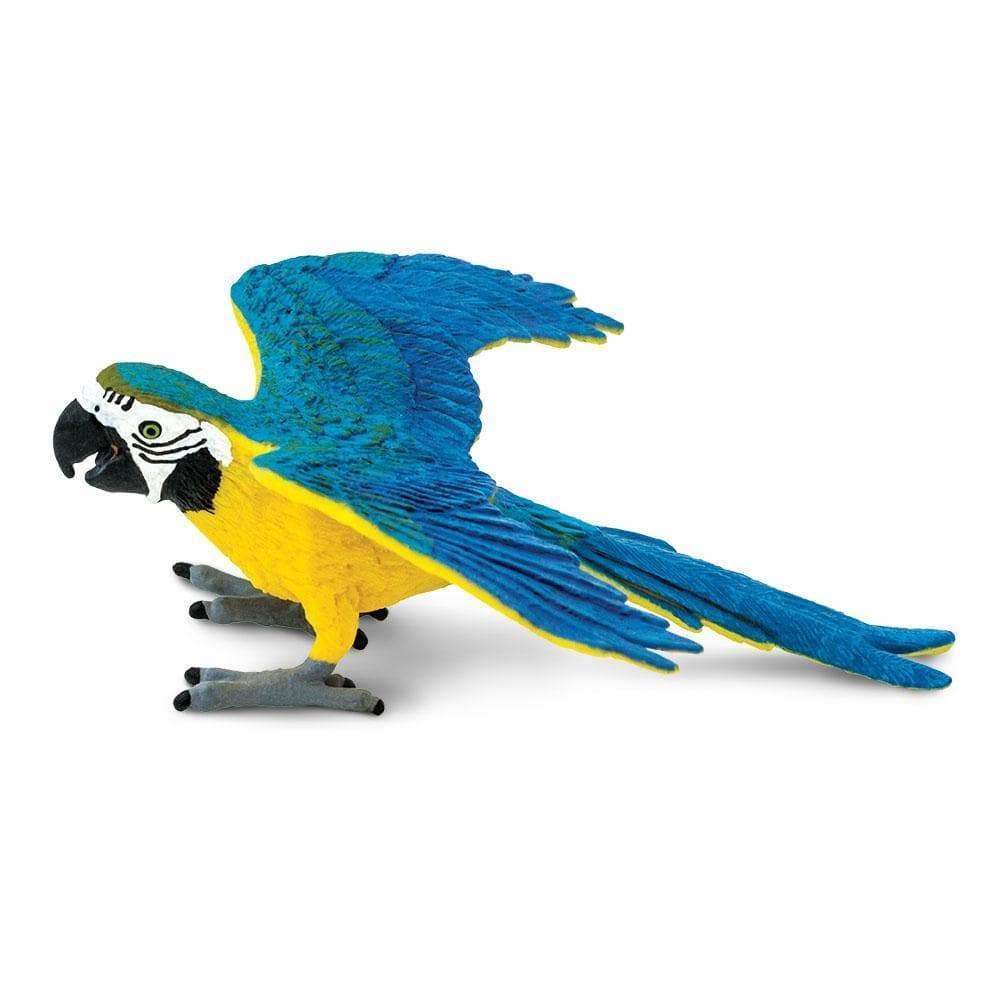 Safari Ltd Figurka Papuga ara