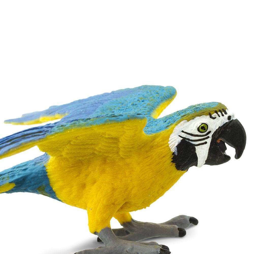 Safari Ltd Figurka Papuga ara