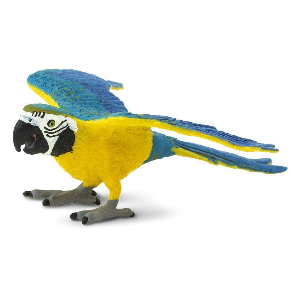 Safari Ltd Figurka Papuga ara