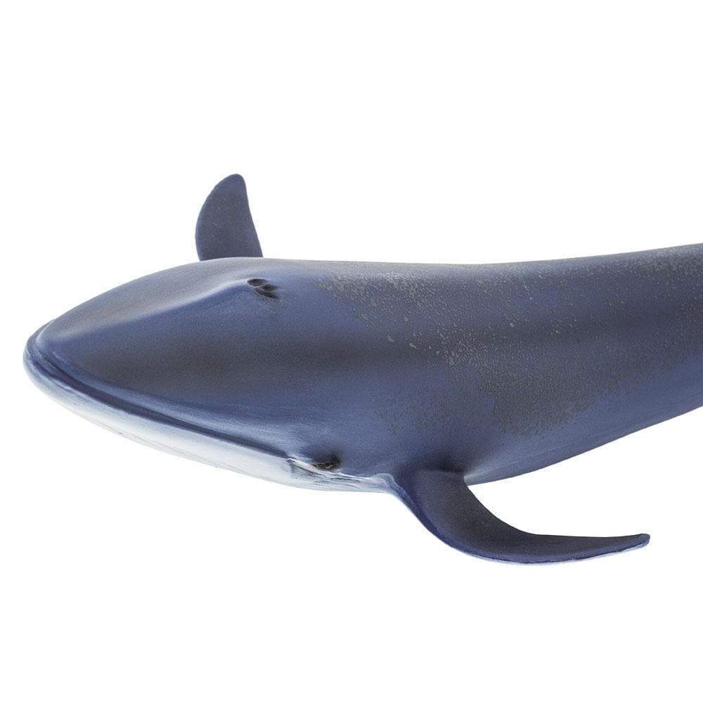 Safari Ltd Figurka Płetwal błękitny